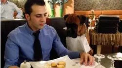 Muscle Mutts