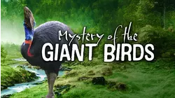 The Mystery Of The Giant Birds