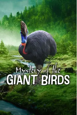The Mystery Of The Giant Birds