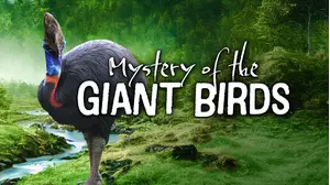 The Mystery Of The Giant Birds