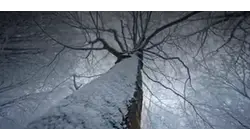 Measuring snowfall: How to be a part of weather history