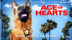 Ace Of Hearts