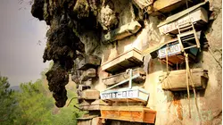 Zoroastrians, Mongolia, The Bo