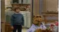 ALF