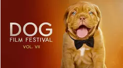 Dog Film Festival Vol. 7
