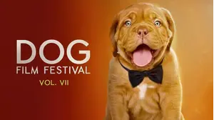 Dog Film Festival Vol. 7
