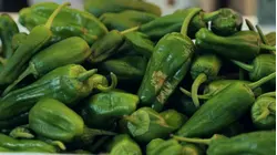 Latest information on salmonella outbreak linked to jalapeños