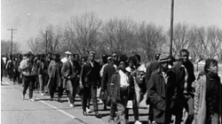 The Great Migration