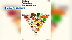 New dietary guidelines released for Americans