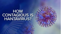 Your hantavirus questions answered