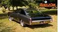 MuscleCar