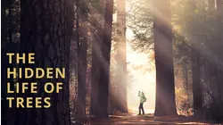 The Hidden Life of Trees