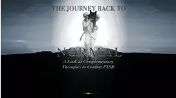 The Journey Back to Normal: A Look at Complementary Therapies to Combat PTSD