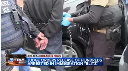Hundreds detained as part of 'Blitz' ordered released on bond