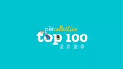 Top 100 of 2020