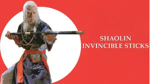 Shaolin Invincibles