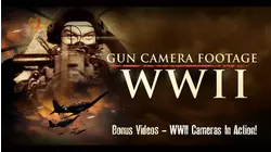 Gun Camera Footage of WWII
