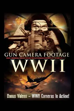 Gun Camera Footage of WWII