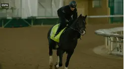 What to expect at the 2026 Kentucky Derby