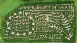 Road Trip: Fort Hill Farms in Thompson