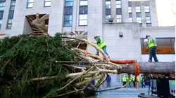 How The 75-Ft. Rockefeller Christmas Tree Makes It To NYC