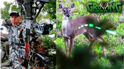 Growing Deer S12:E50 "Why and When to Harvest Does"