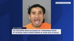 Officials: Man accused of throwing rock that injured girl now in ICE custody