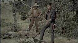 The Trail Gang