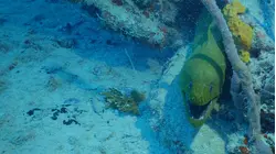 FLORIDA KEYS SHIPWRECK TRAIL
