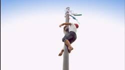 Egremont Pole Climbing Competition