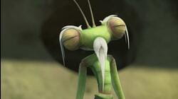 Enter The Mantis