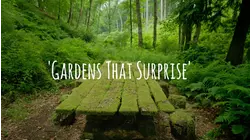 Gardens That Surprise