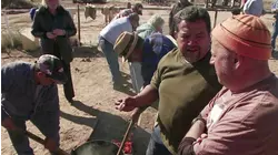 New Mexico