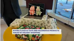 'Trouble in Toyland' safety report warns parents about 2025 dangerous toys