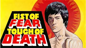 Fist Of Fear Touch Of Death