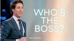 Who's The Boss?