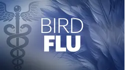 Commercial farm in Burlington County reports first 2026 case of avian influenza