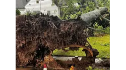 Powerful winds topple huge tree onto Union County home, family escapes serious injury