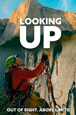 Looking Up