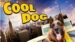 Cool Dog