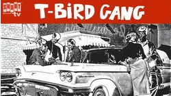T-Bird Gang