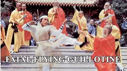 Fatal Flying Guillotine