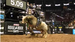 PBR Teams 2024 Glendale Day 2