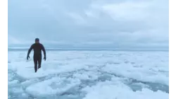 Surfer Dan