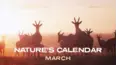 March (Nature's Calendar)