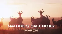 March