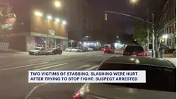 Victims in Fordham slashing were saving a woman, says police