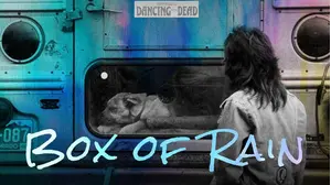 Box of Rain