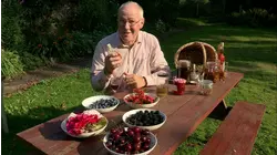 Booze Bites: Summer Flower Brews