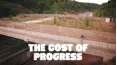 Cost of Progress